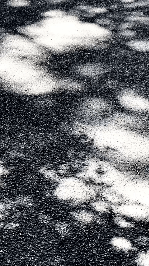 Moving Shadows 2O23-ongoing