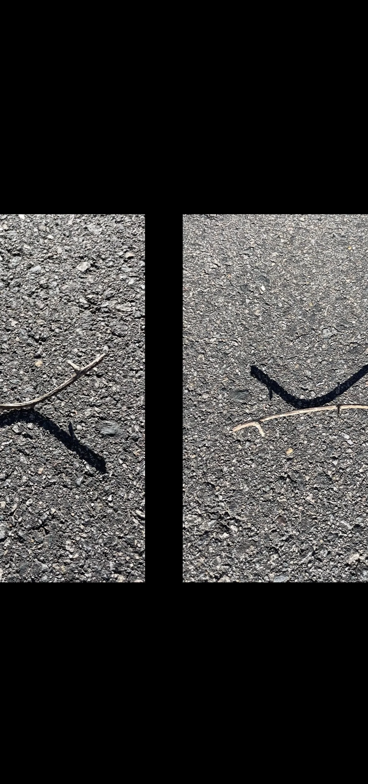 BLACK AND WHITE DOUBLES