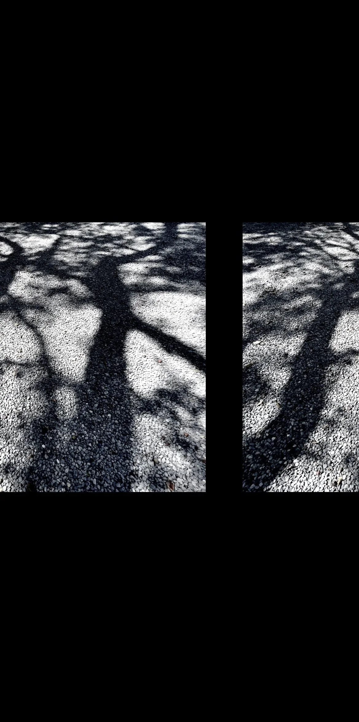 DOUBLE SHADOWS