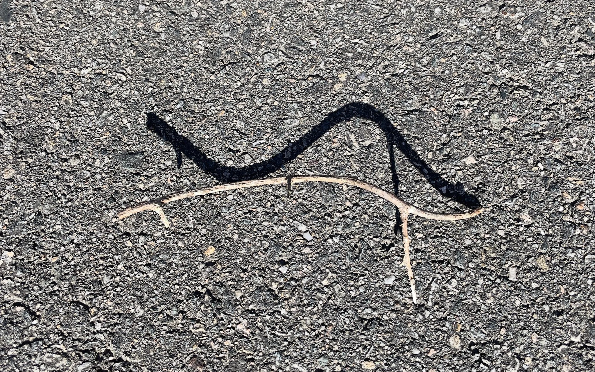 BLACK AND WHITE DOUBLES