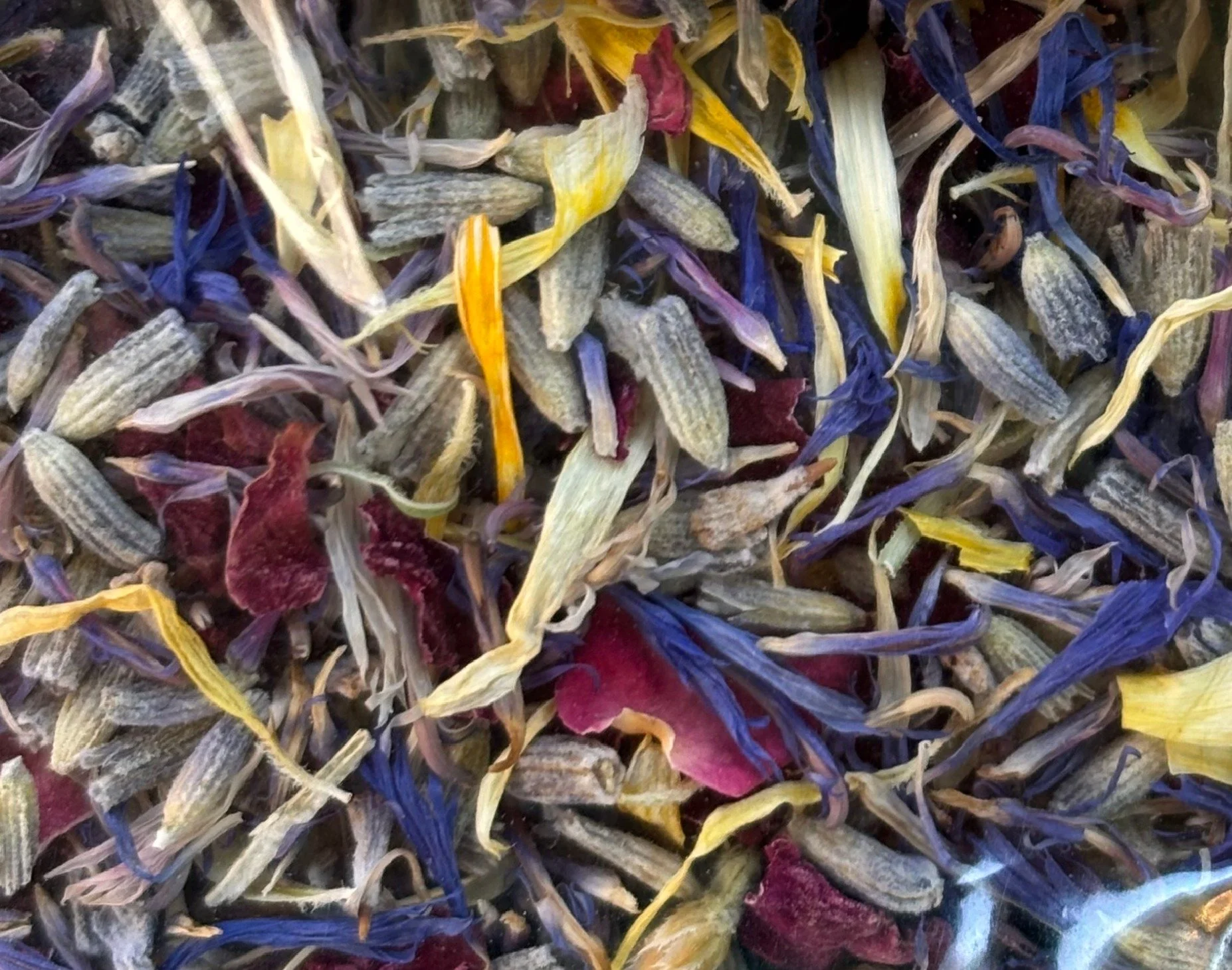 flowers zoomed in.JPG