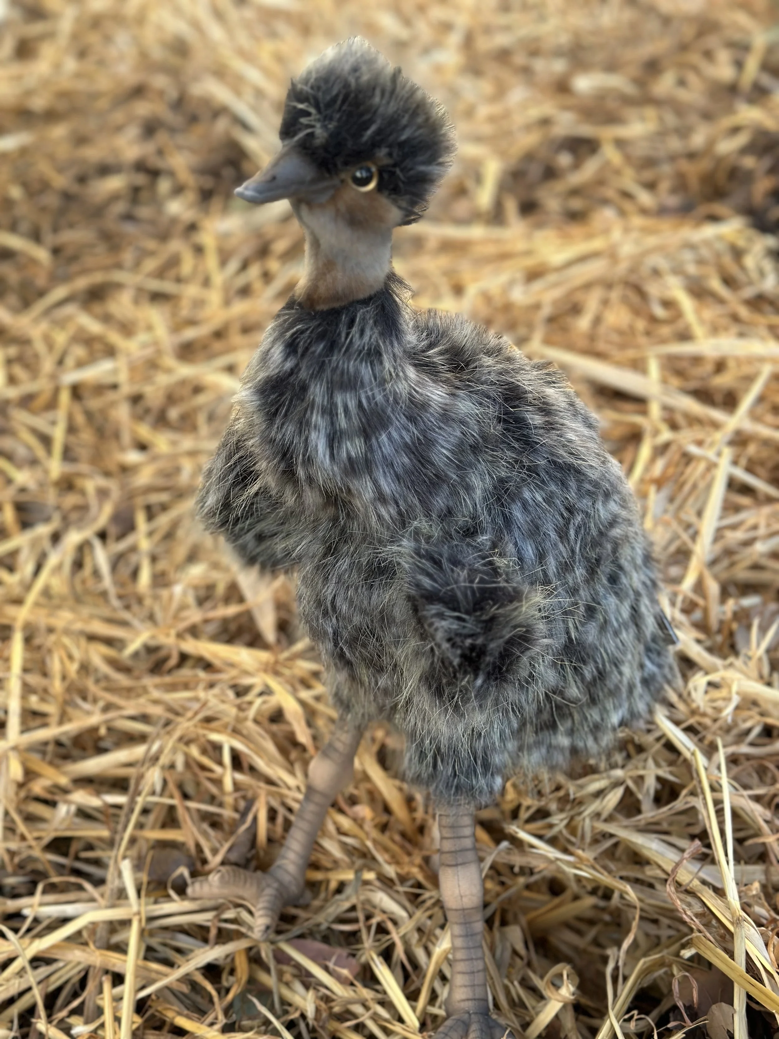 Emu Puppet