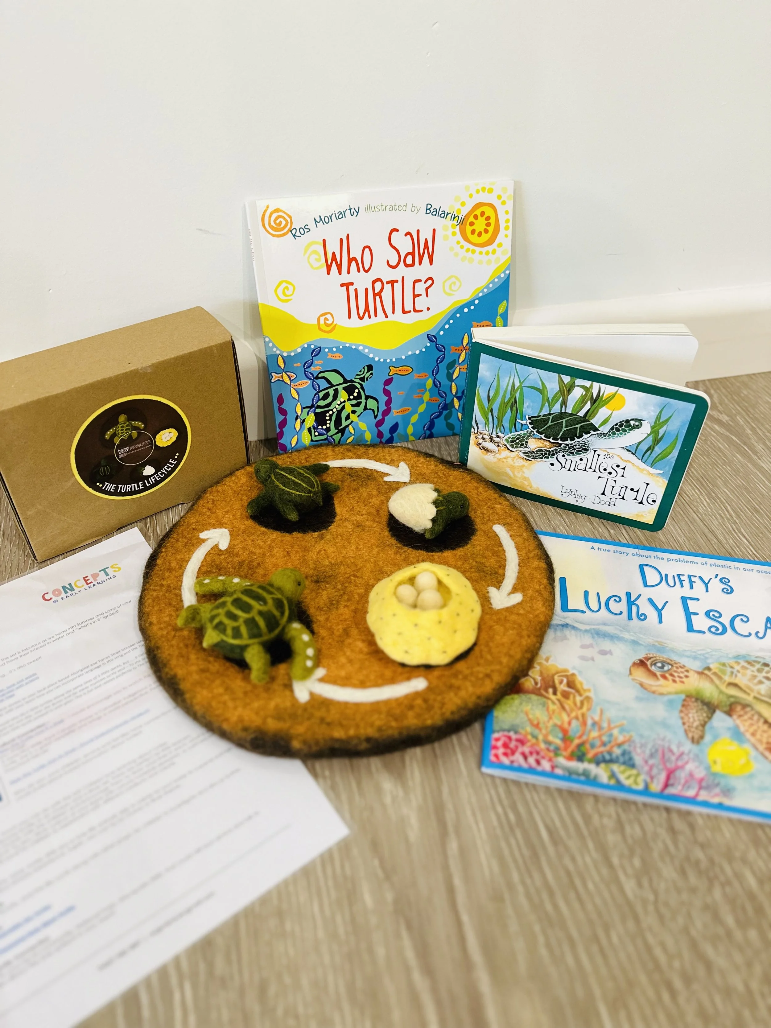 Turtle Story Set