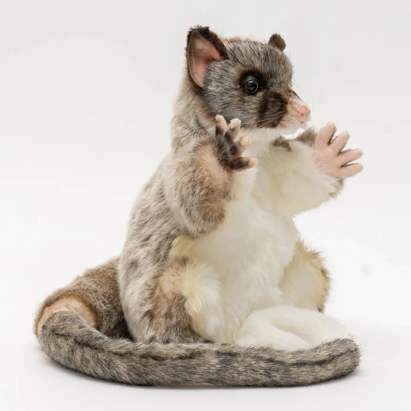 HC7357-Possum.jpg