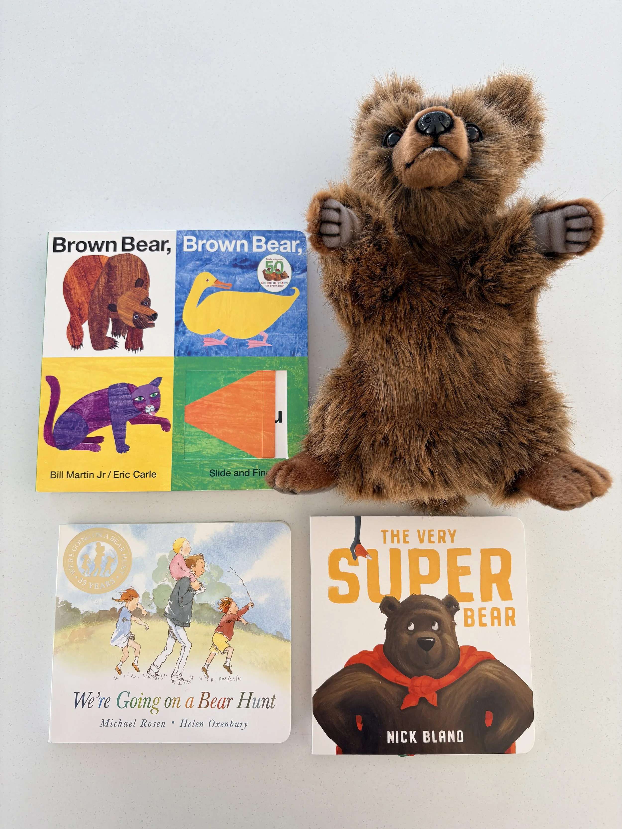 Brown Bear Story Set