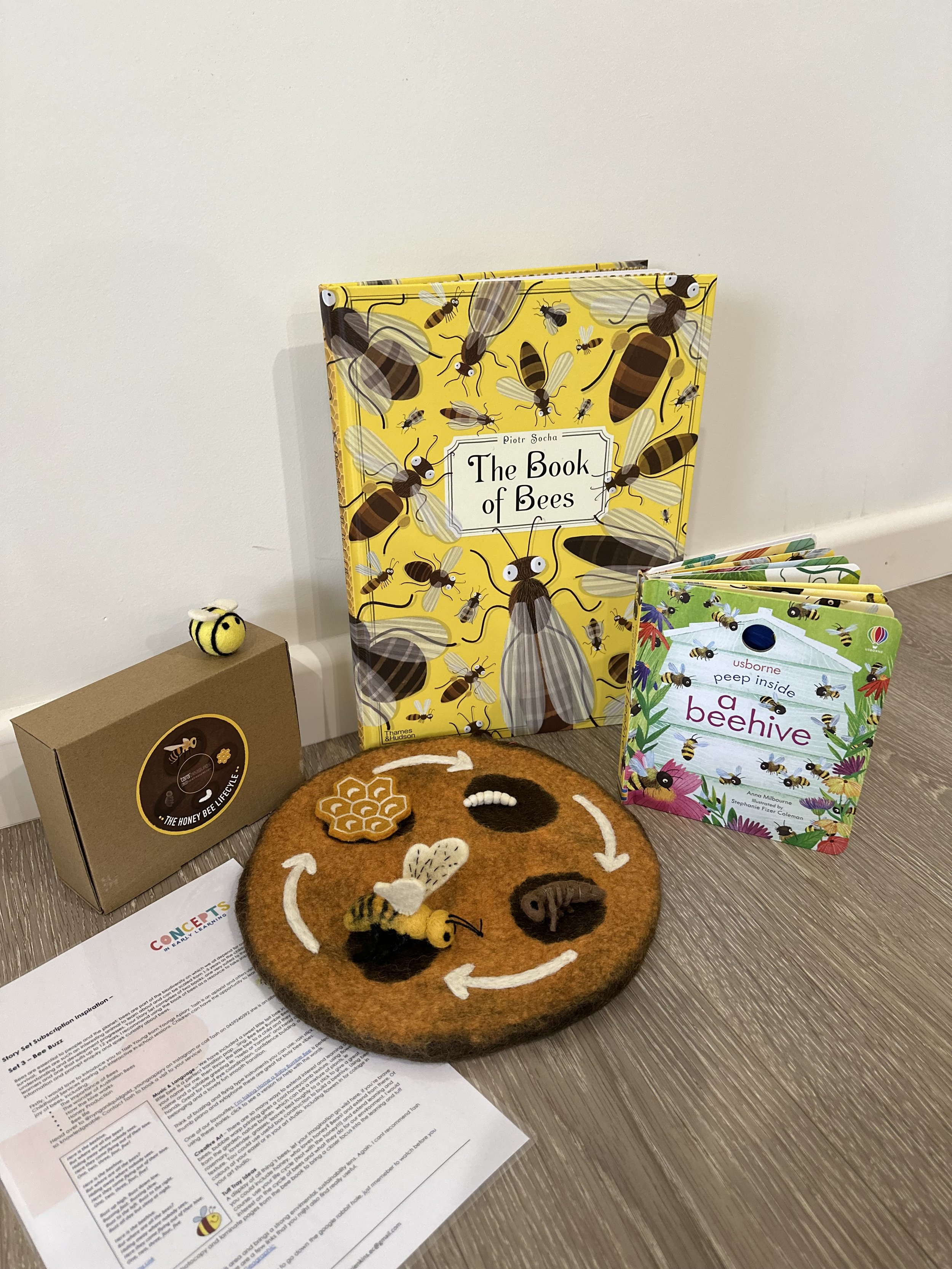 Bees Story Set