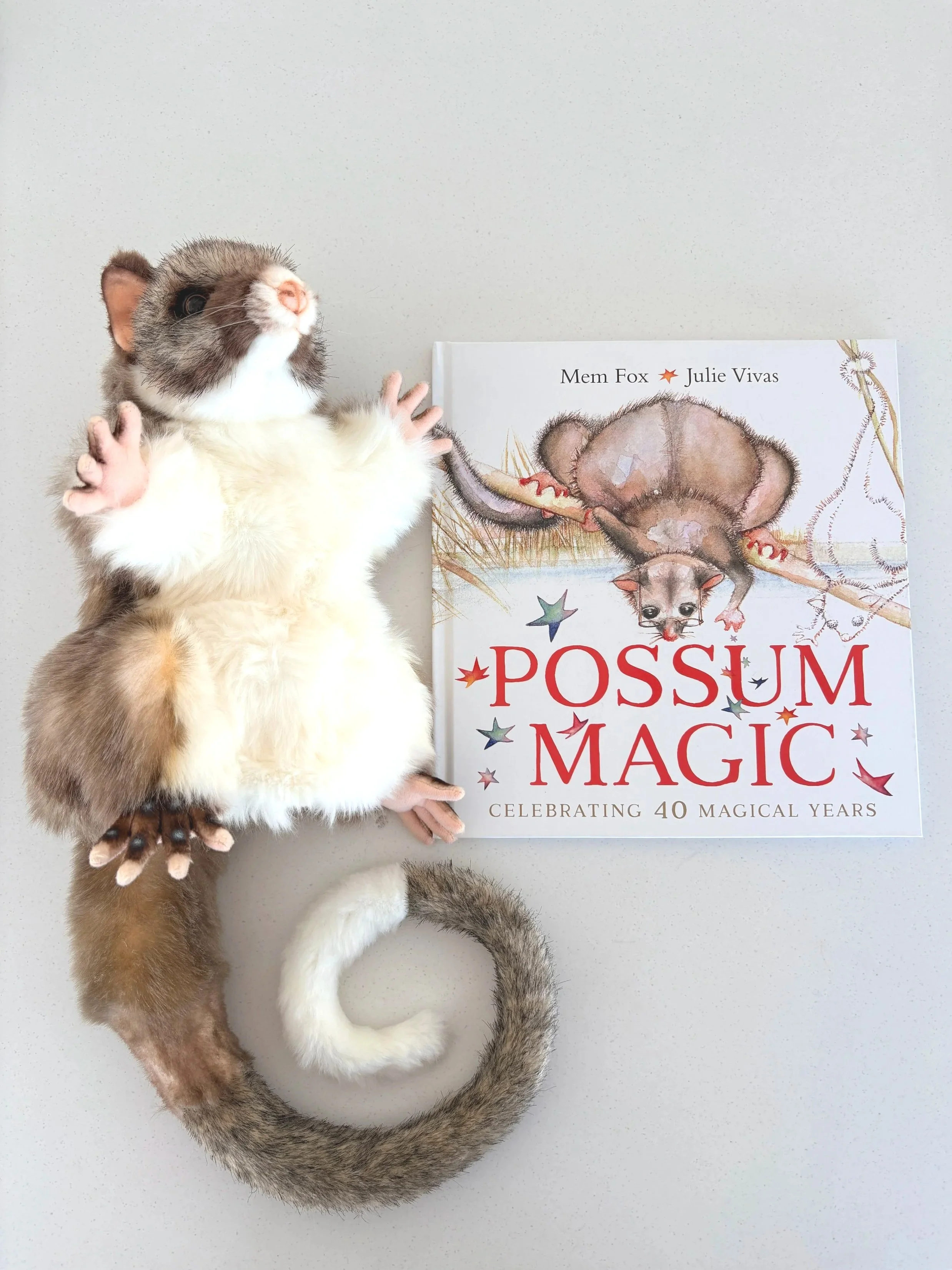 Possum Magic Story Set