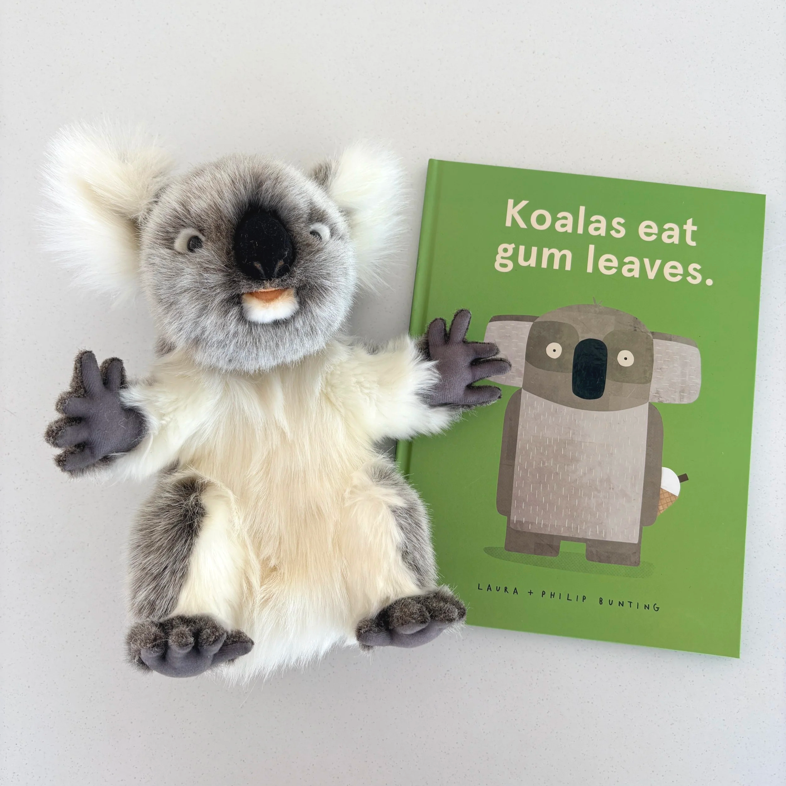 Koalas Eat Gum Leaves Story Set