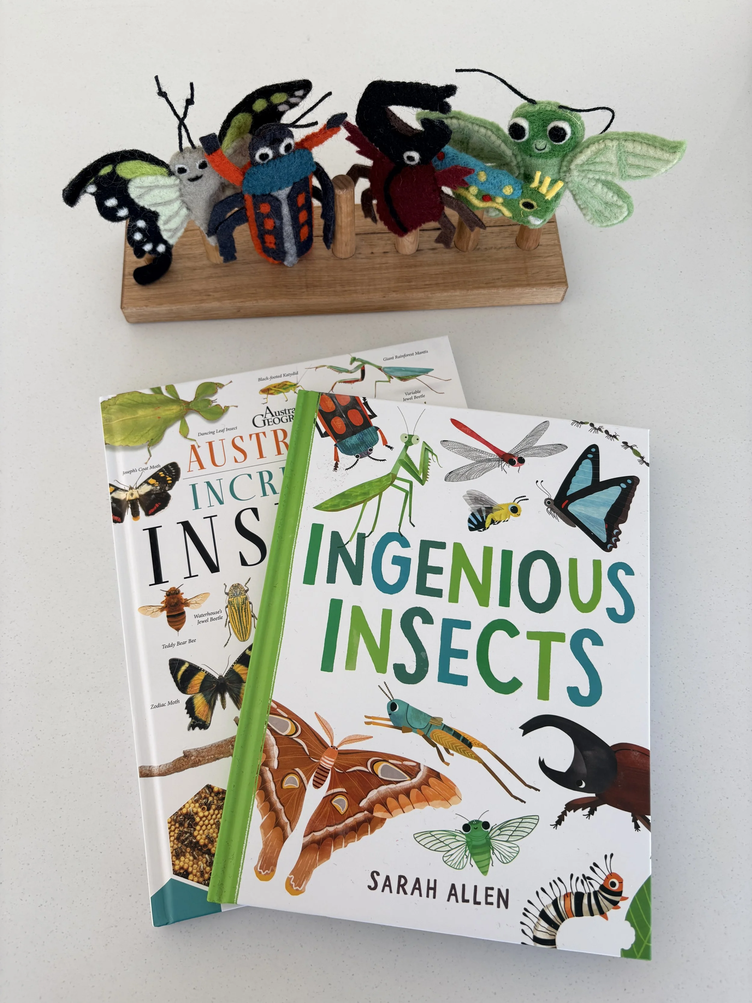 Insects Story Set