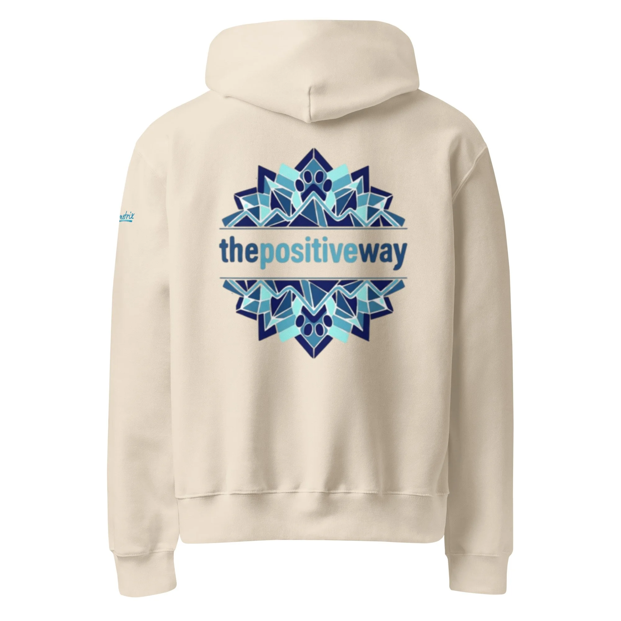 unisex-oversized-heavyweight-hoodie-dust-back-6aa5c9abe9749.jpg