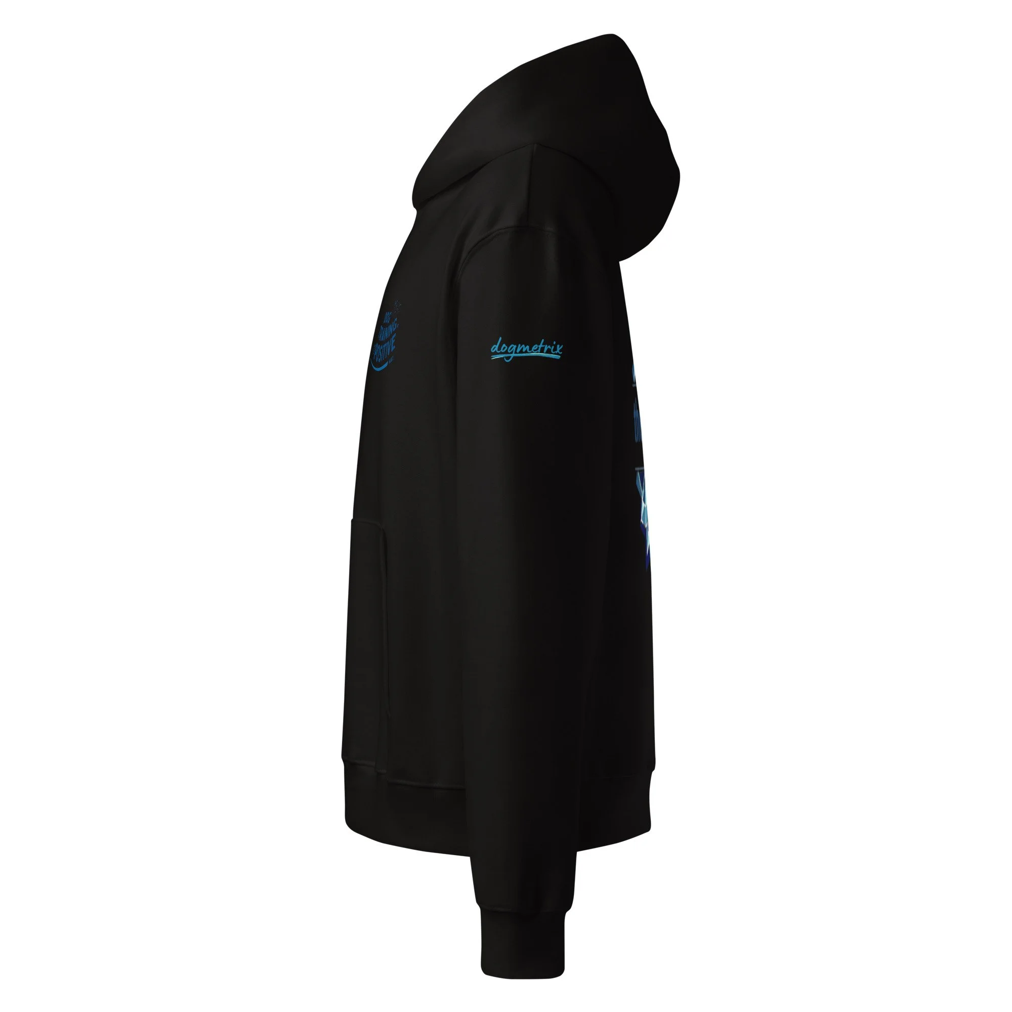 unisex-oversized-heavyweight-hoodie-black-left-6aa5ccea5d57d.jpg