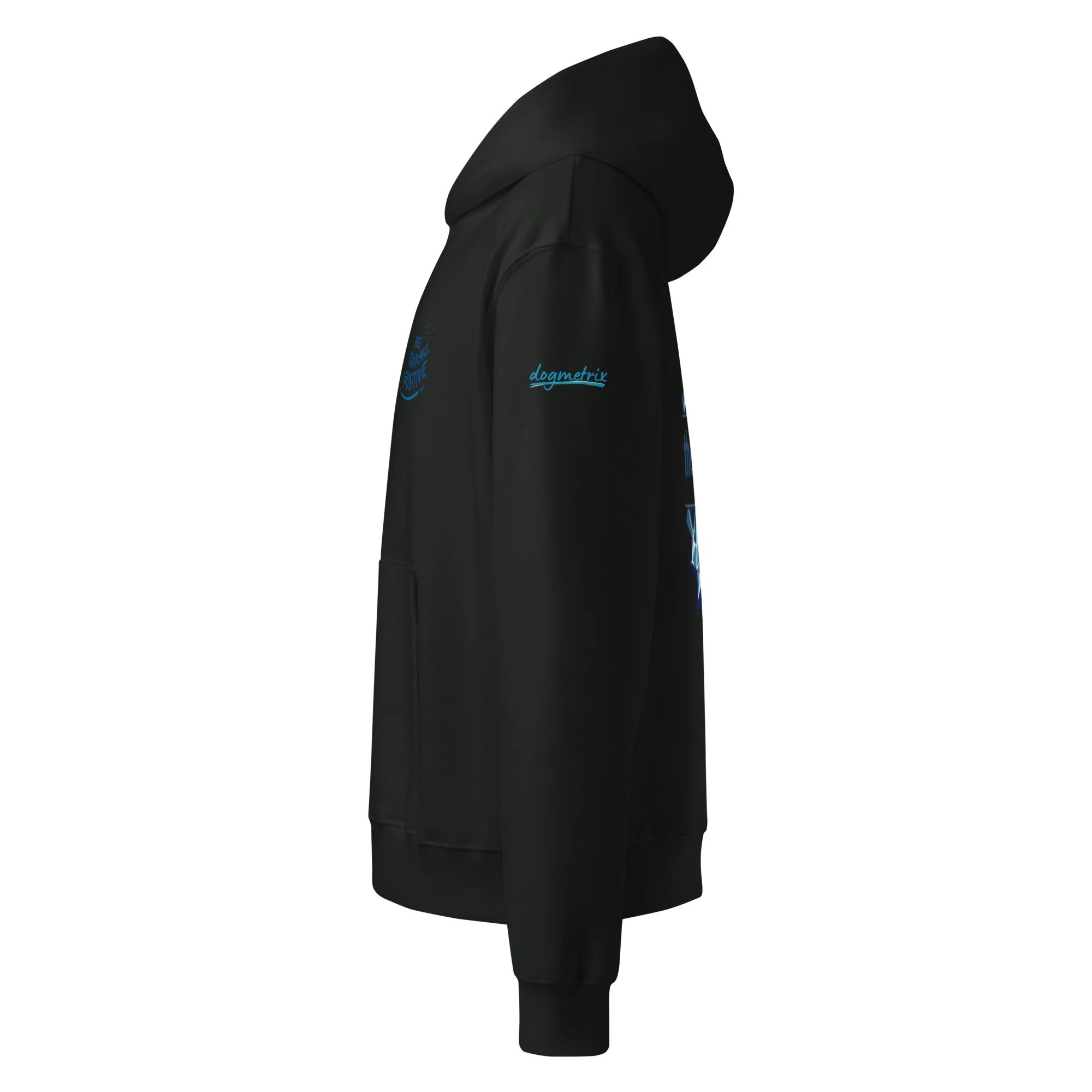 unisex-oversized-heavyweight-hoodie-vintage-black-left-6aa5ccea5d619.jpg