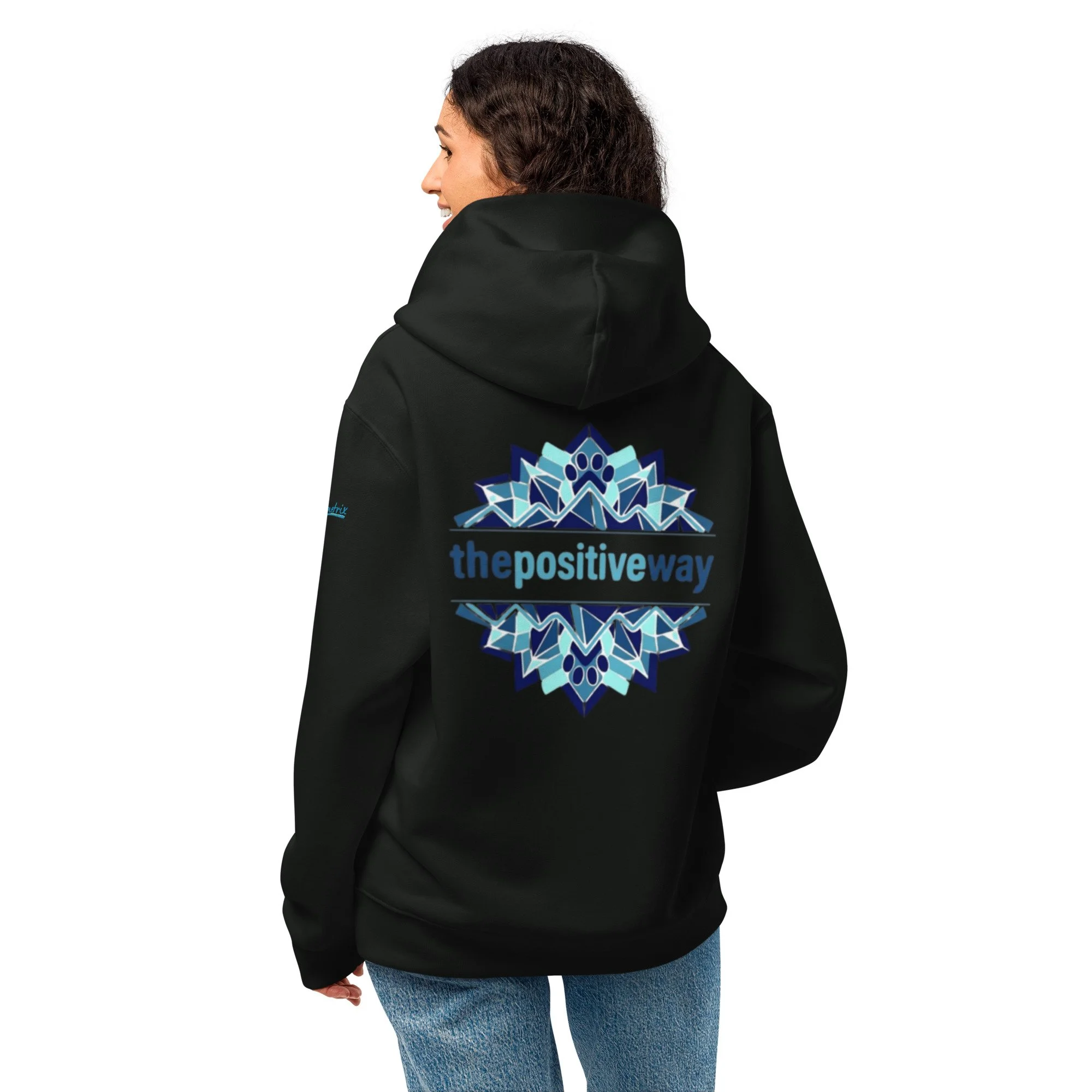 unisex-oversized-heavyweight-hoodie-vintage-black-back-6aa5ccea5ee67.jpg