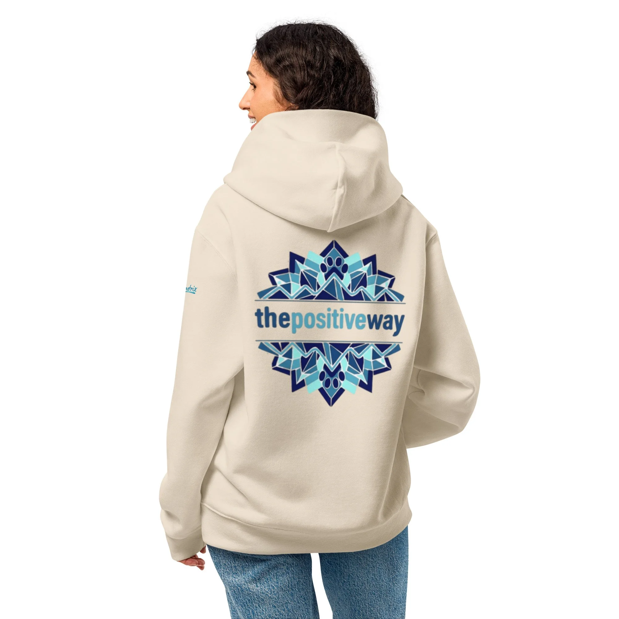 unisex-oversized-heavyweight-hoodie-dust-back-6aa5ccea5ee01.jpg