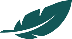 A stylized graphic of a single teal feather.