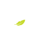 Circle logo with the words 'Mondo' and 'All you need' surrounding a stylized leaf.