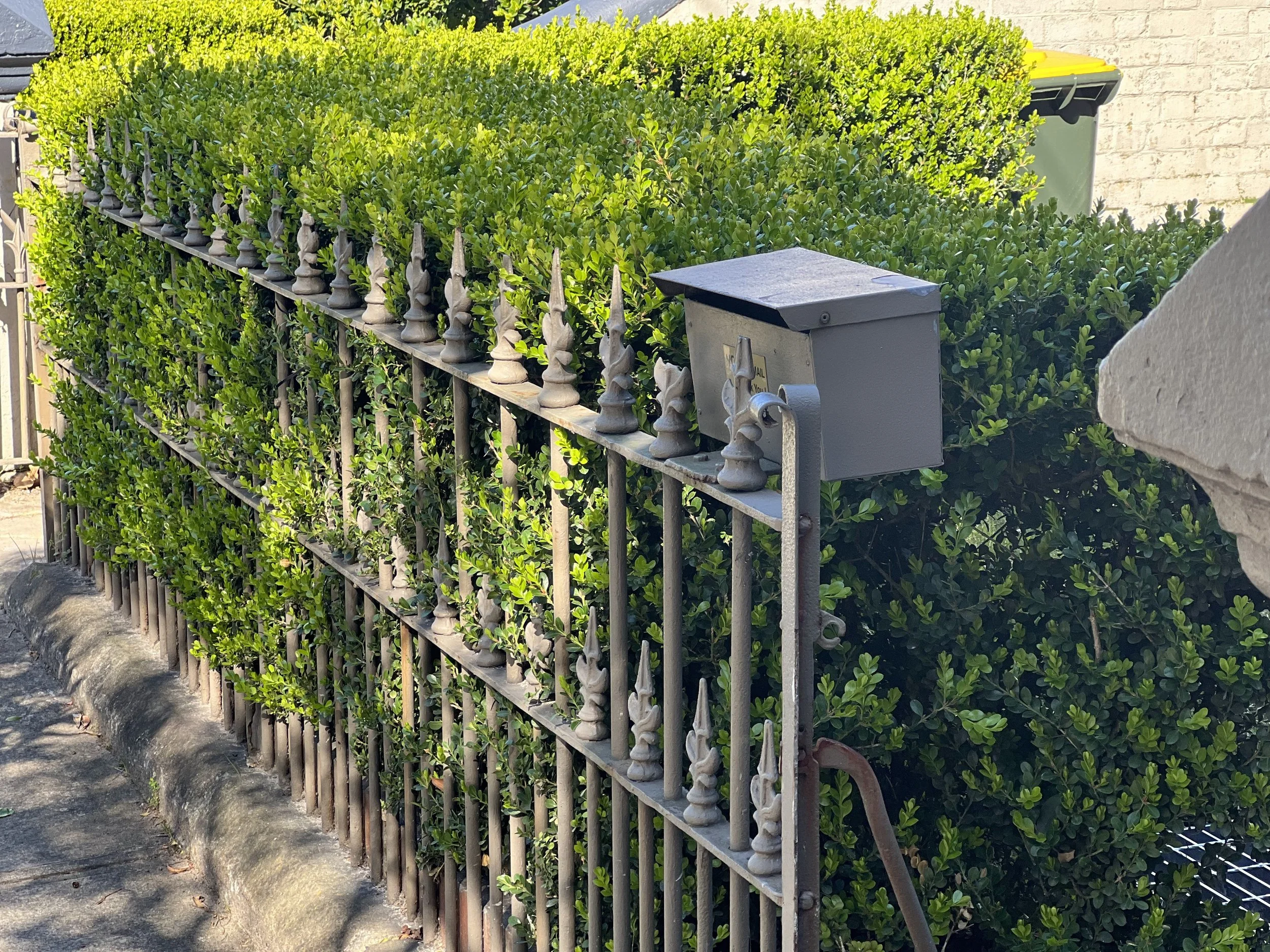 A metal fence with decorative finials partially covered by a dense, green hedge situated in front of a brick wall. A mailbox is attached to the fence. There is a yellow and gray trash bin in the background.