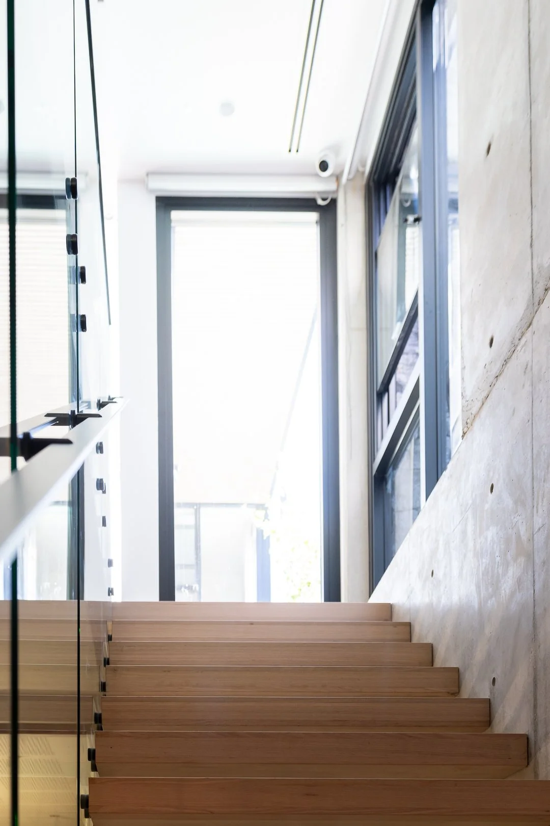 Modern interior staircase made of wood leading to a glass door with large windows and concrete wall.