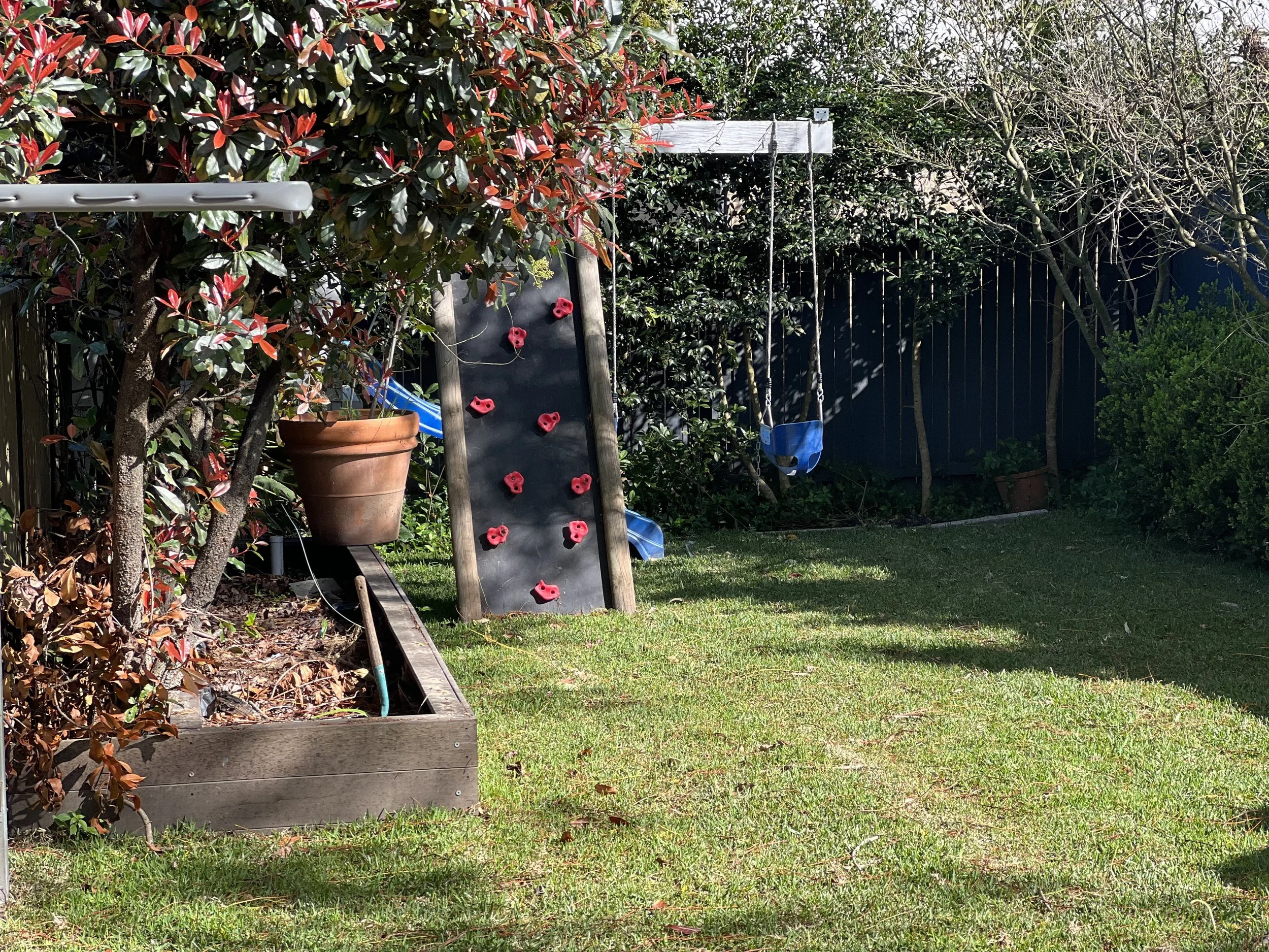 A backyard garden with a small climbing wall with red holds, a blue swing, a potted plant, and trees and bushes in the background.
