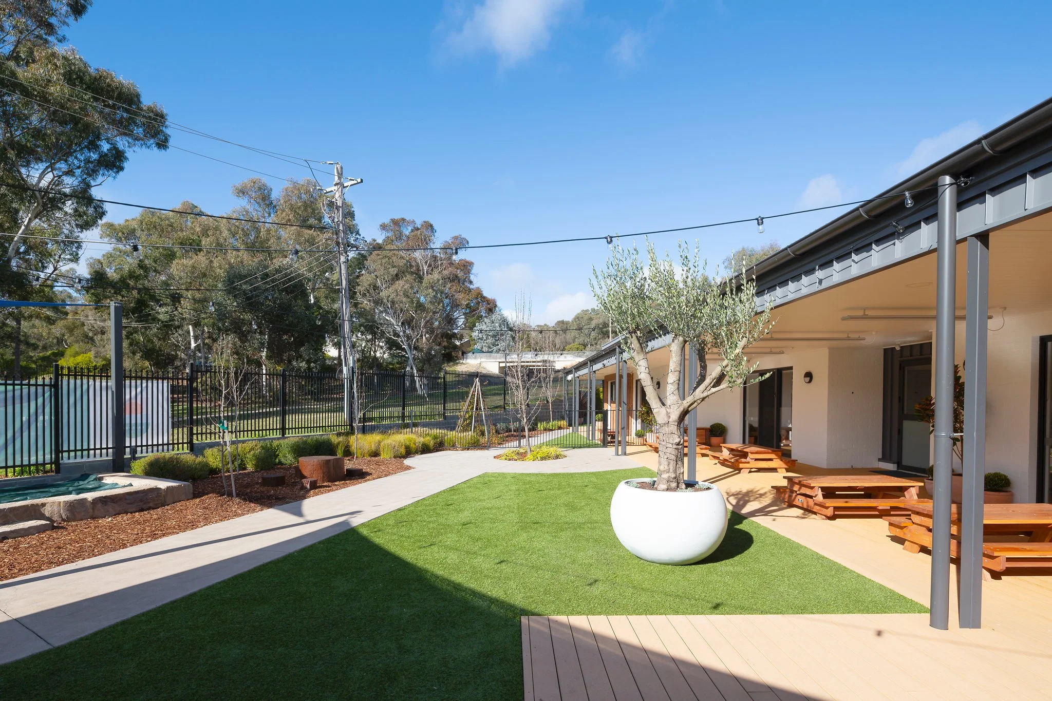 A backyard with a black fence, a curved walkway, a tree in a large white pot, wooden benches, and a building with a covered patio. Overhead string lights are strung across the yard, and trees and utility poles are visible beyond the fence.