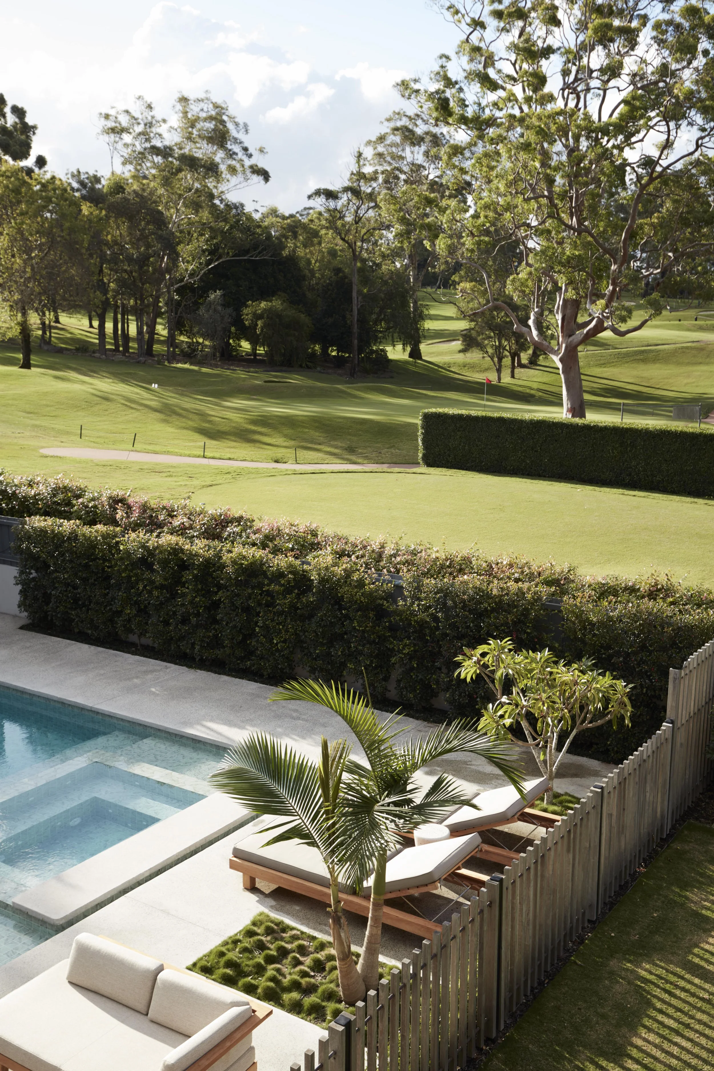 View of a backyard with a swimming pool, lounge chairs, a palm tree, a hedge, and a grassy area with trees in the background.