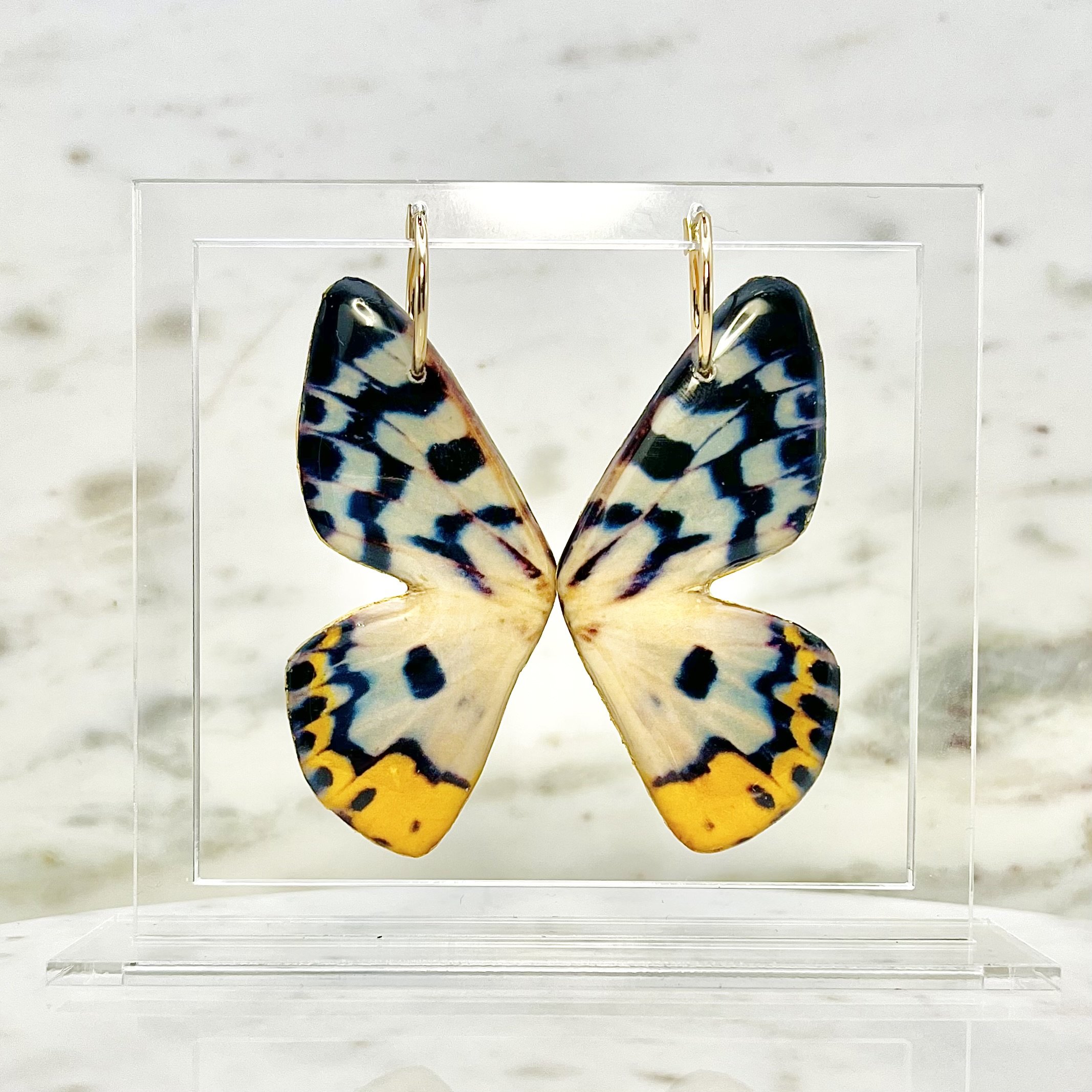 Yellow False Tiger Moth Wing Earrings