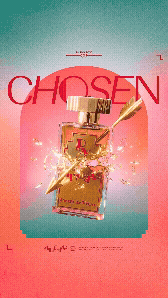 Chosen (1).gif