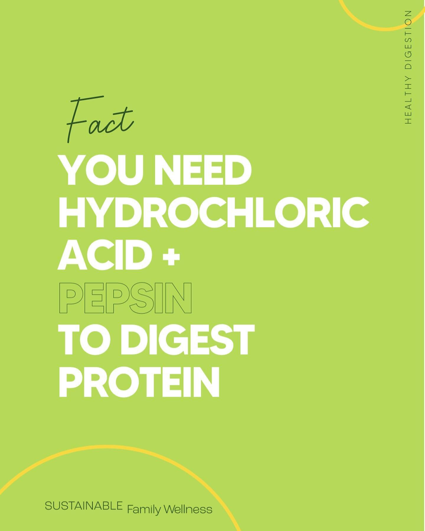 Feeling gassy lately?

If your stomach does not have adequate HCl and Pepsin (which HCl activates), then you likely are not getting the most out of the protein you eat. 

These might be some signs you are not breaking down your proteins well:

+ Meat