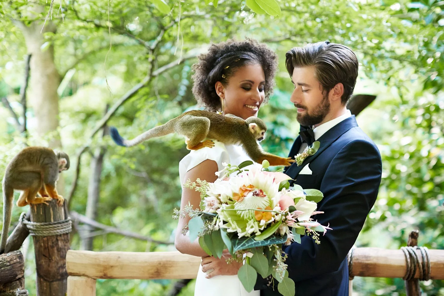 Ein Brautpaar pausiert für den Fotografen, während ein Äffchen versuchte, den Blumenschmuck des Mannes zu klauen