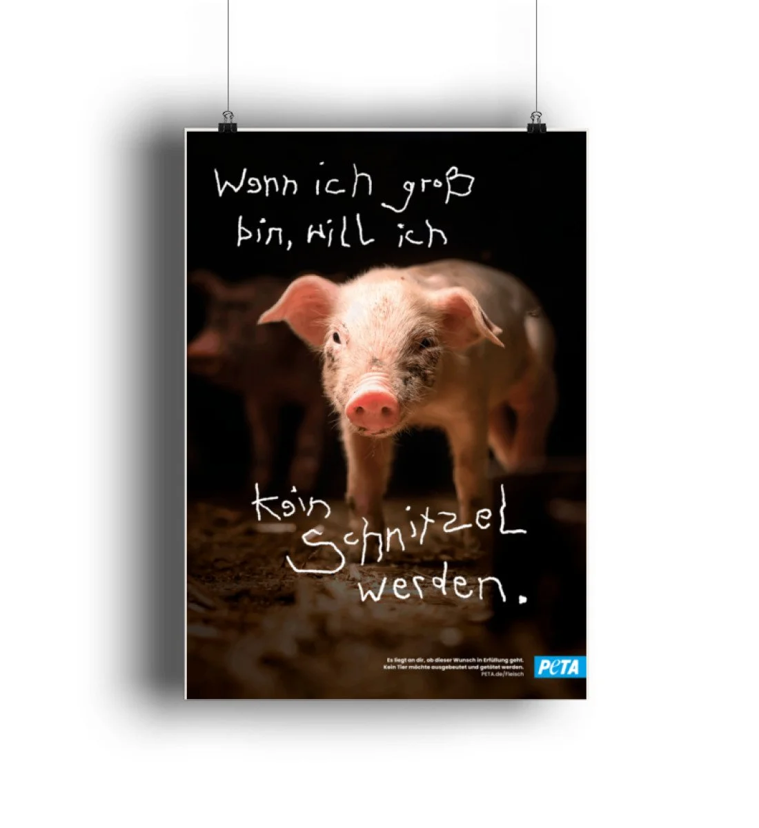 Veganes Poster - Ferkel
