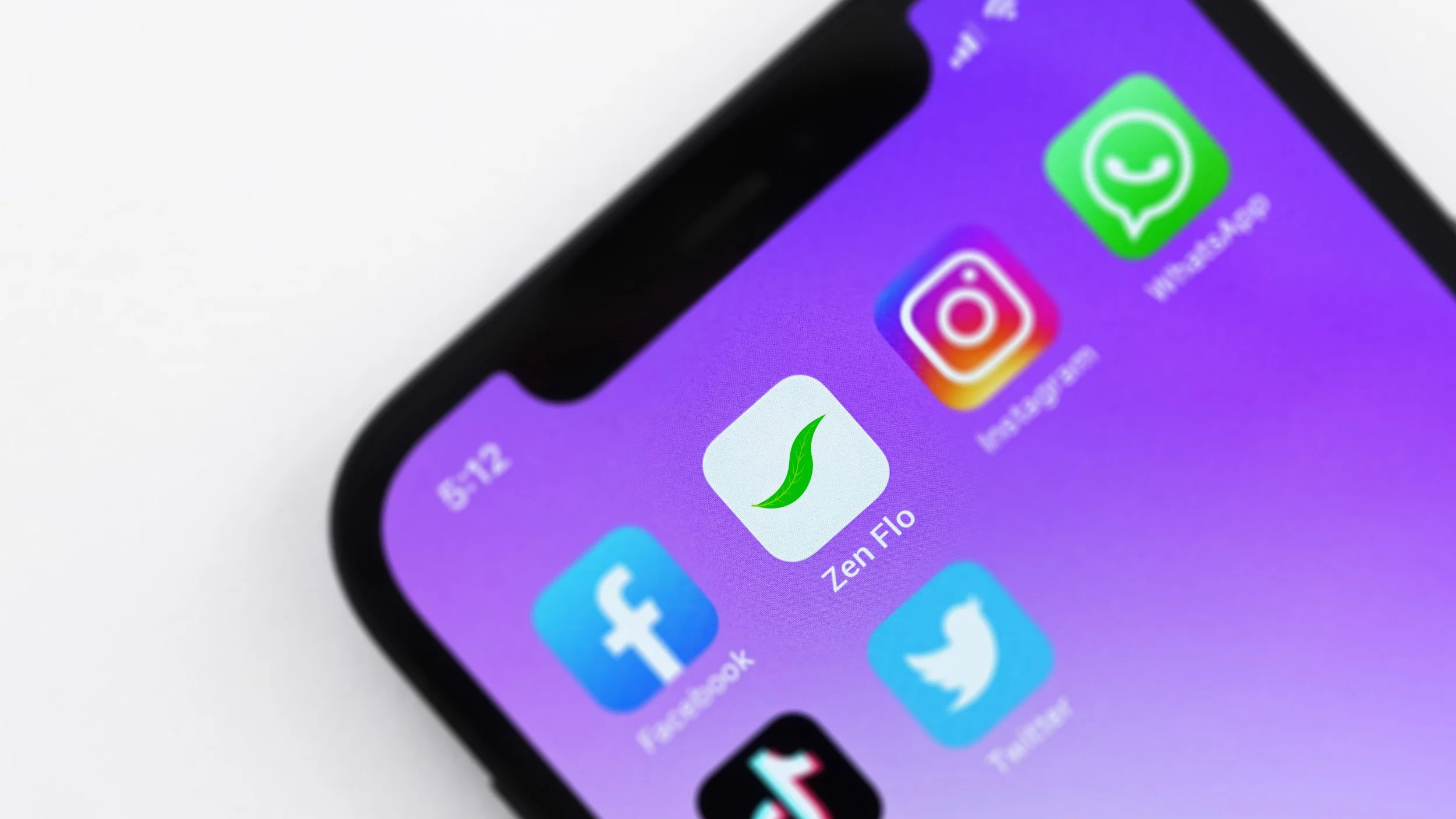 tinywow_Zen Flo Brand Guide_87148774_18-1.jpg