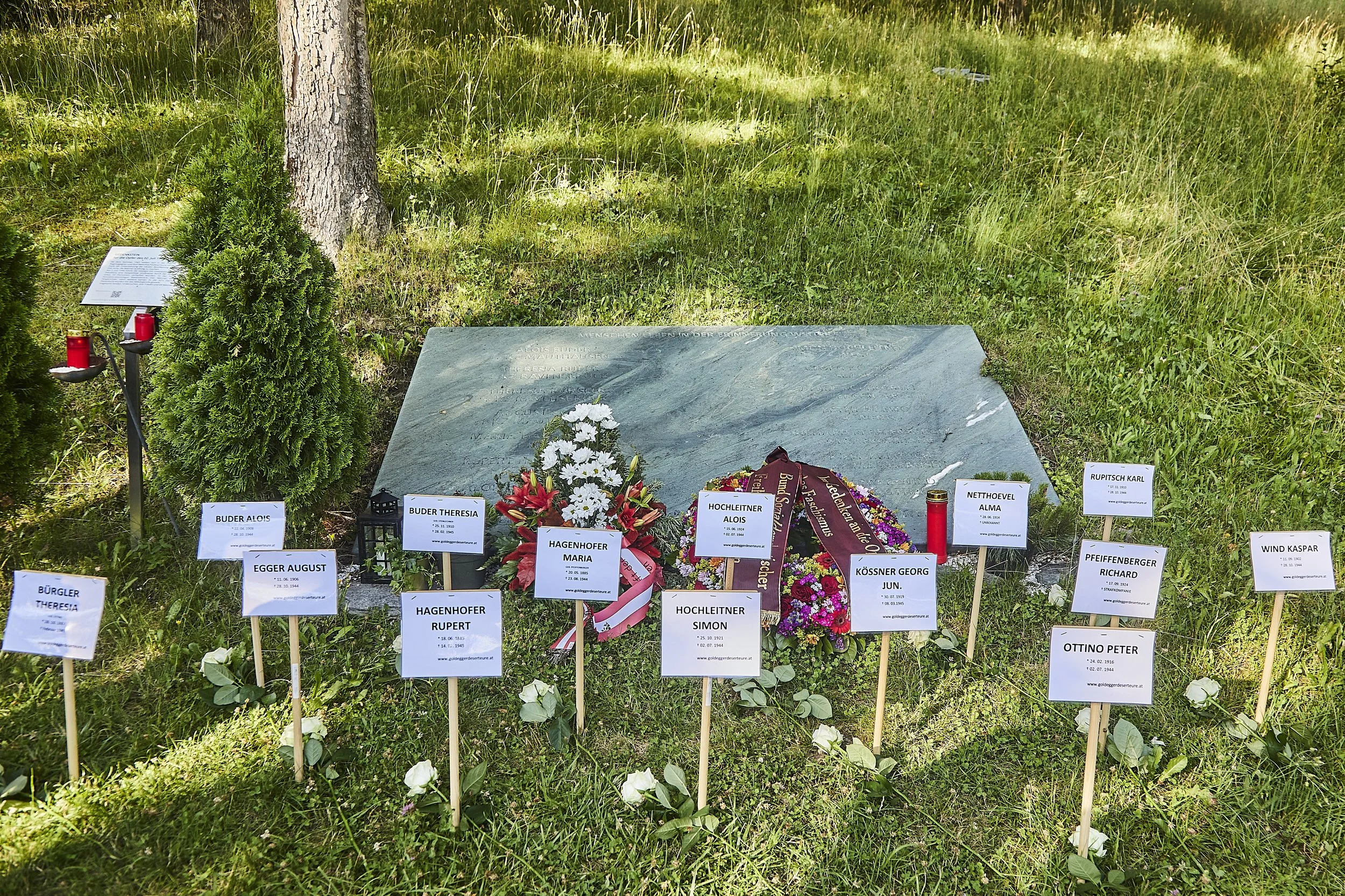 CU2A3365.jpg