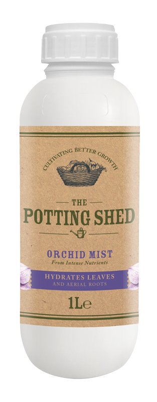 Orchid Mist