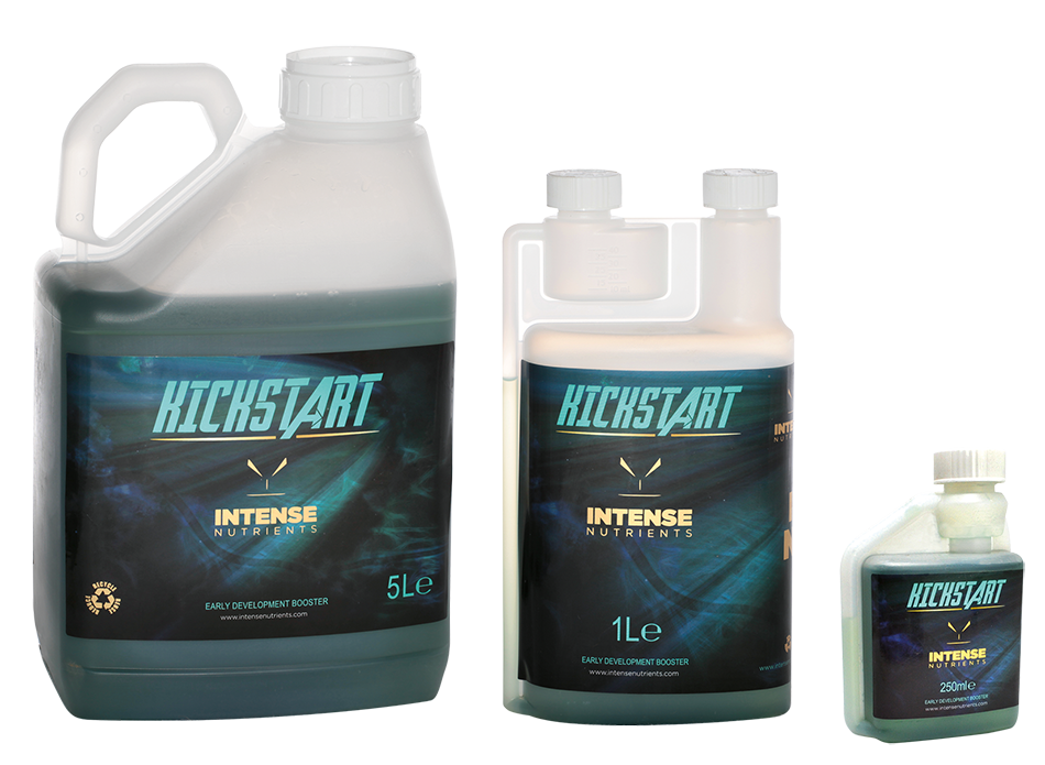 Kickstart