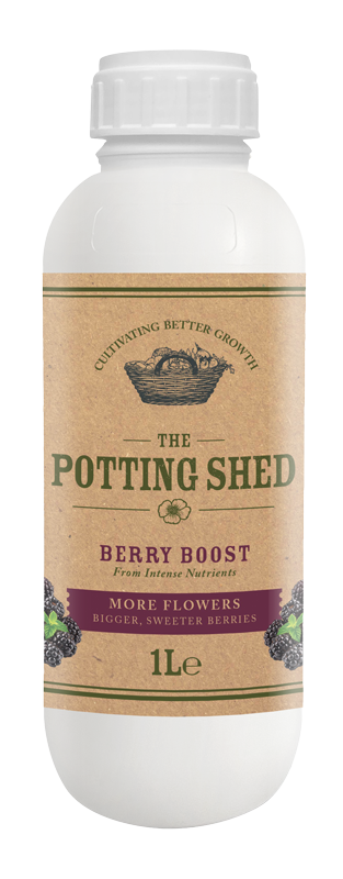 TPS-2026-Berry.png