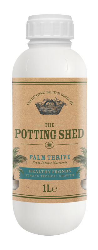 Palm Thrive