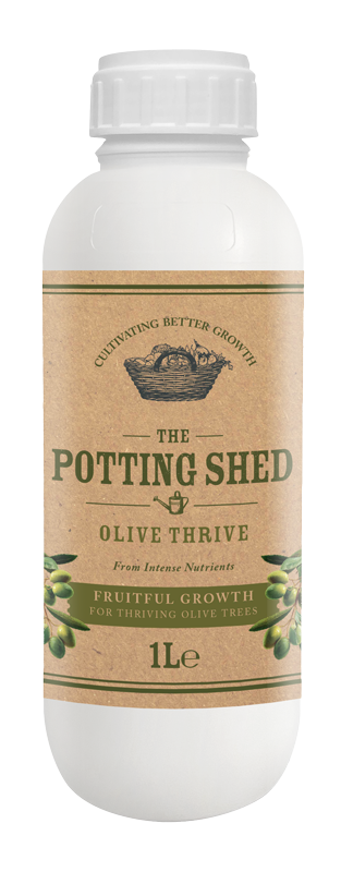 Olive Thrive