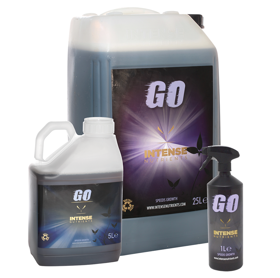 GO