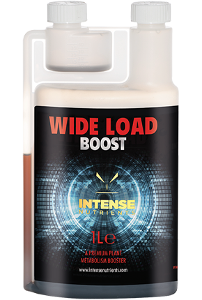 Intense Nutrients Wide Load Boost: Works with base nutrients for larger, more aromatic fruits. Ripens crops, boosts immunity, and promotes photosynthesis.