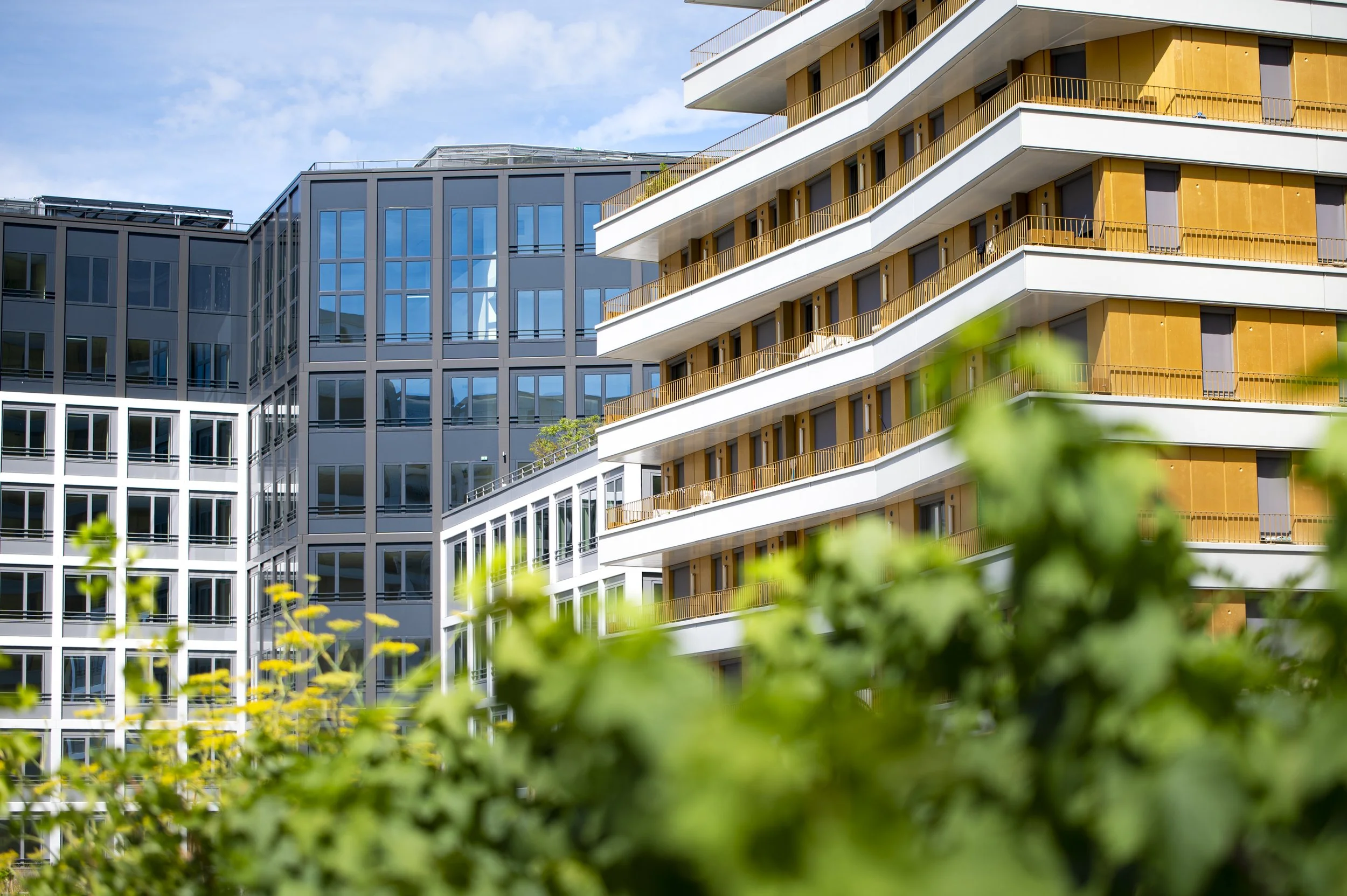 Paysages, Montagne, Mer, Eau, Terre, Lac, Fleur, Nature, Randonnée, Perpignan, Paris, Pyrénées-Orientales, Occitanie, Voyages