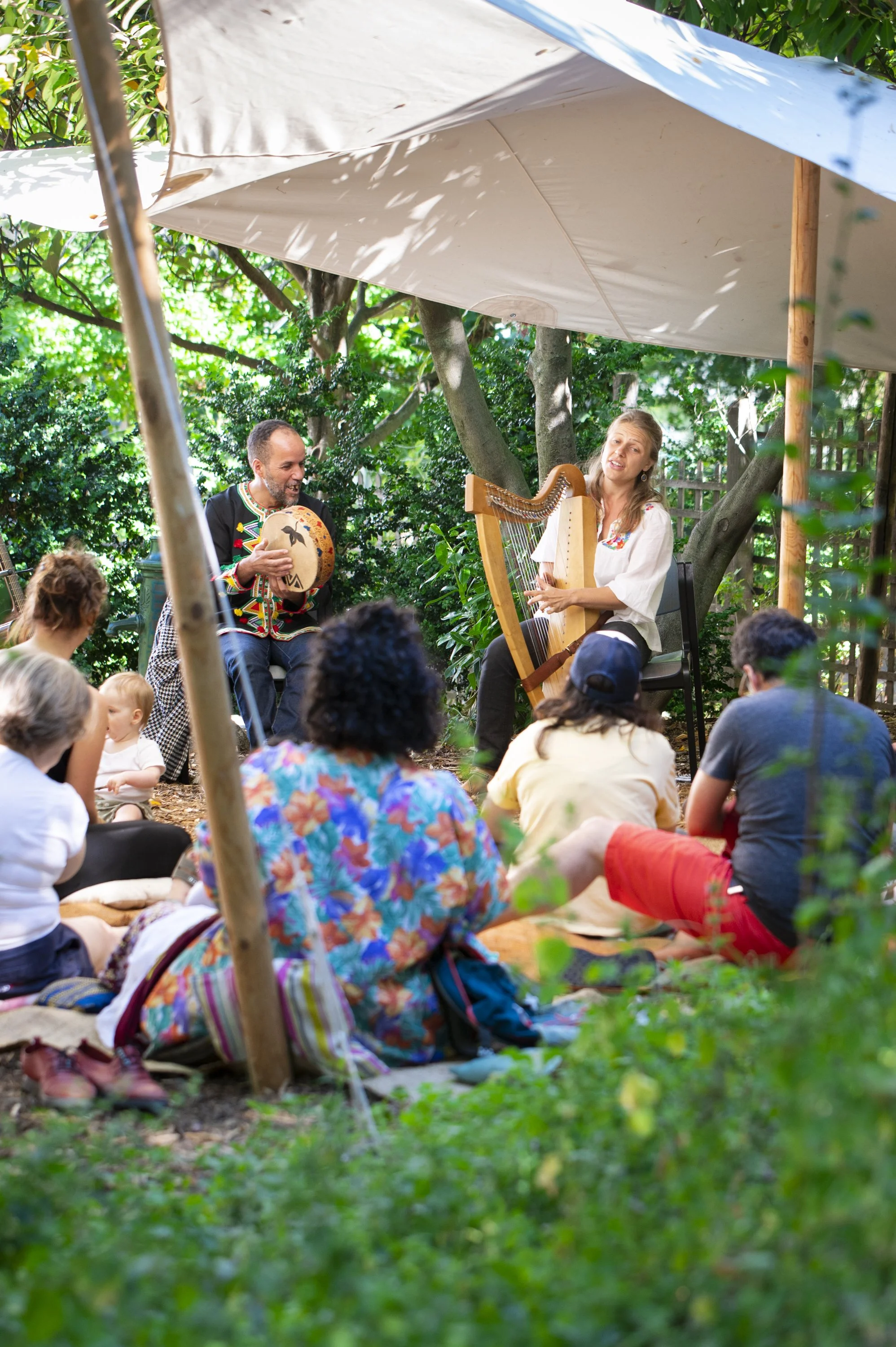 Spectacle Concert Rhizome Paris Evènement Paris Perpignan France 