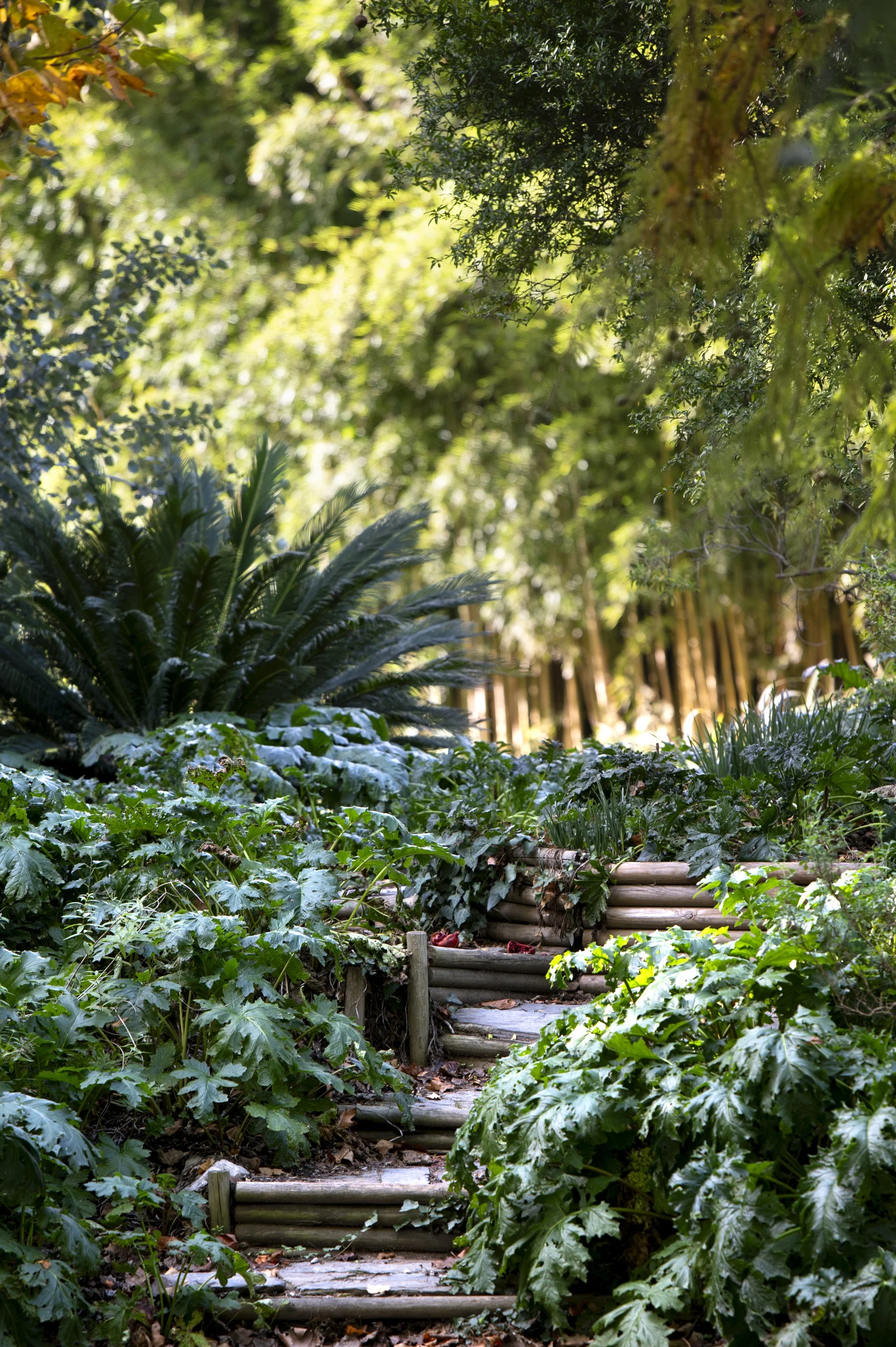 Paysages, Montagne, Mer, Eau, Terre, Lac, Fleur, Nature, Randonnée, Perpignan, Paris, Pyrénées-Orientales, Occitanie, Neige, Halpe d'Huez, ski; Juliette Jem; Photographe; Evènement; Entreprise