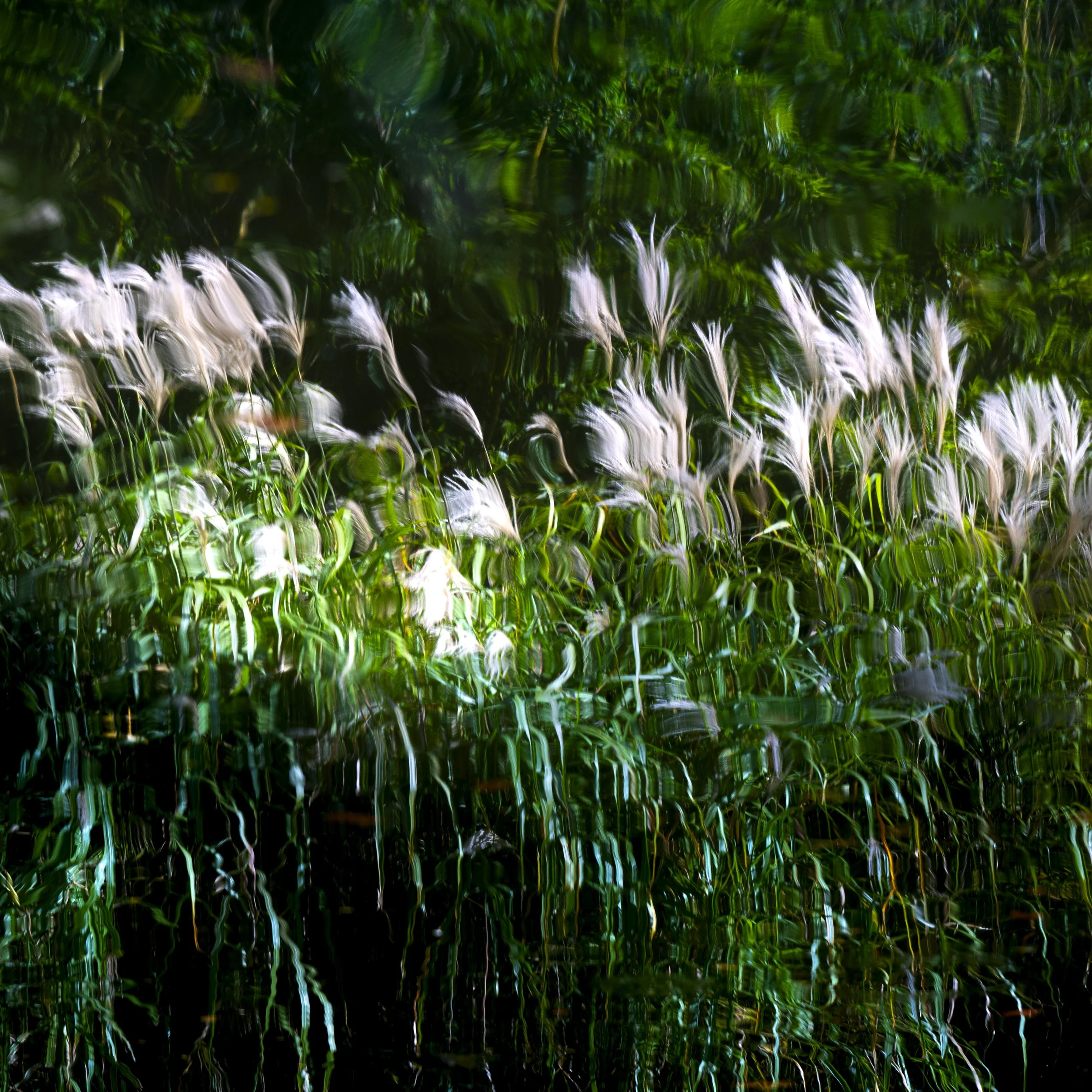 Paysages, Montagne, Mer, Eau, Terre, Lac, Fleur, Nature, Randonnée, Perpignan, Paris, Pyrénées-Orientales, Occitanie, Neige, Halpe d'Huez, ski; Juliette Jem; Photographe; Evènement; Entreprise