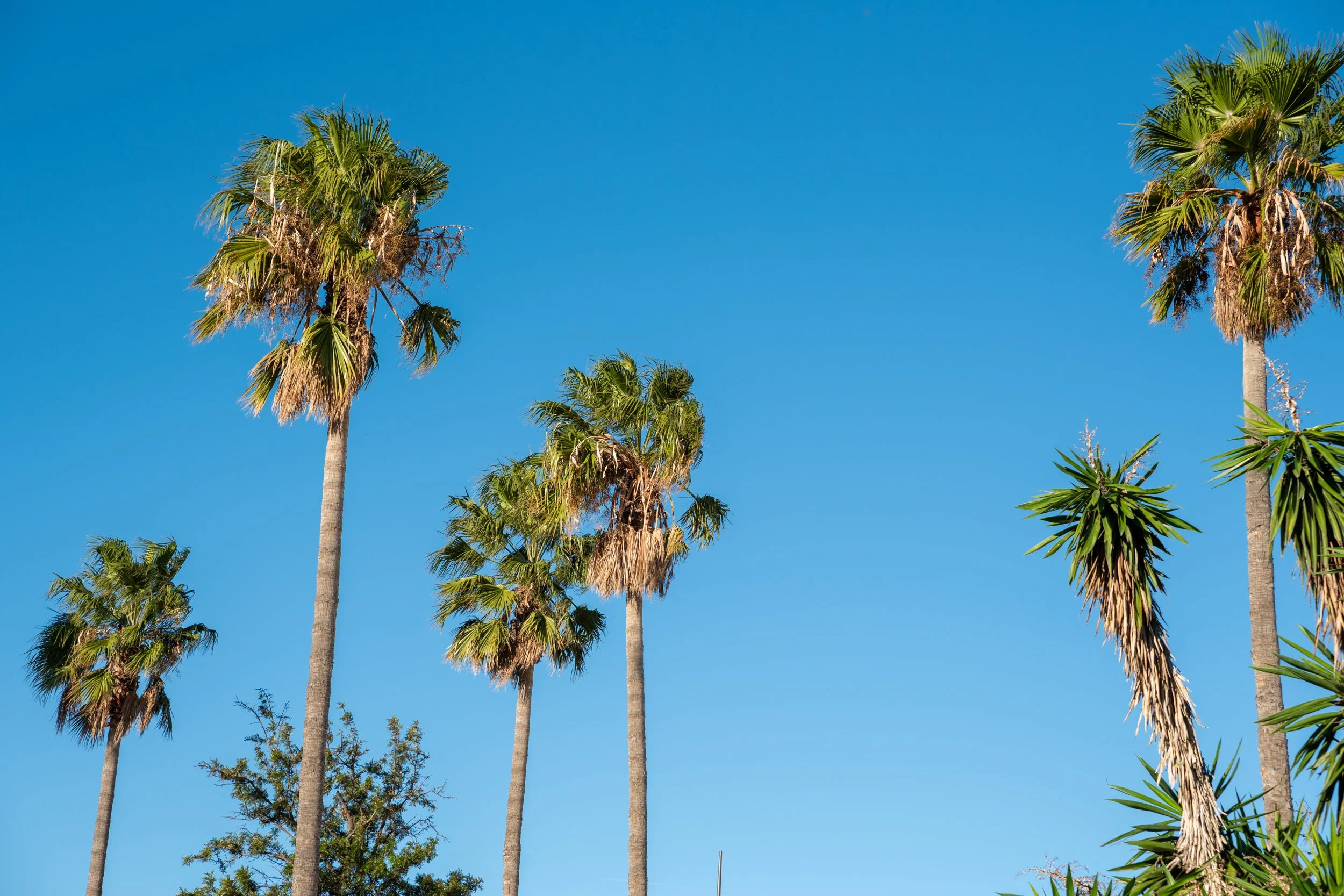 Paysages, Montagne, Mer, Eau, Terre, Lac, Fleur, Nature, Randonnée, Perpignan, Paris, Pyrénées-Orientales, Occitanie, Neige, Halpe d'Huez, ski; Juliette Jem; Photographe; Evènement; Entreprise