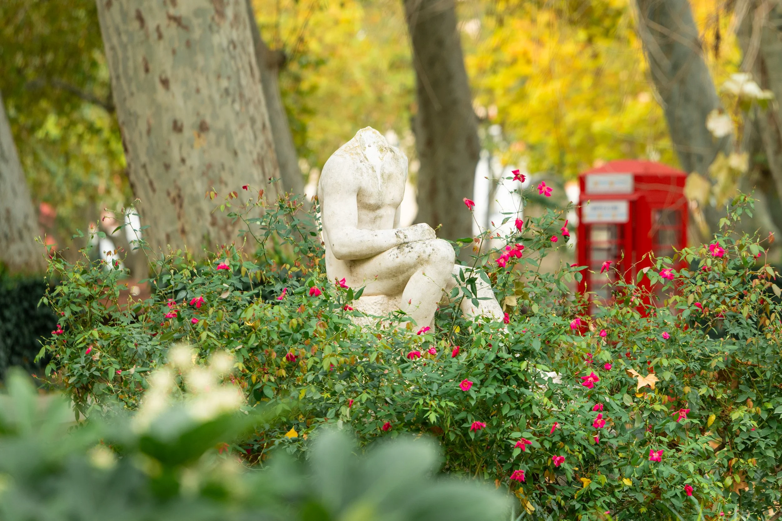Paysages, Montagne, Mer, Eau, Terre, Lac, Fleur, Nature, Randonnée, Perpignan, Paris, Pyrénées-Orientales, Occitanie, Neige, Halpe d'Huez, ski; Juliette Jem; Photographe; Evènement; Entreprise