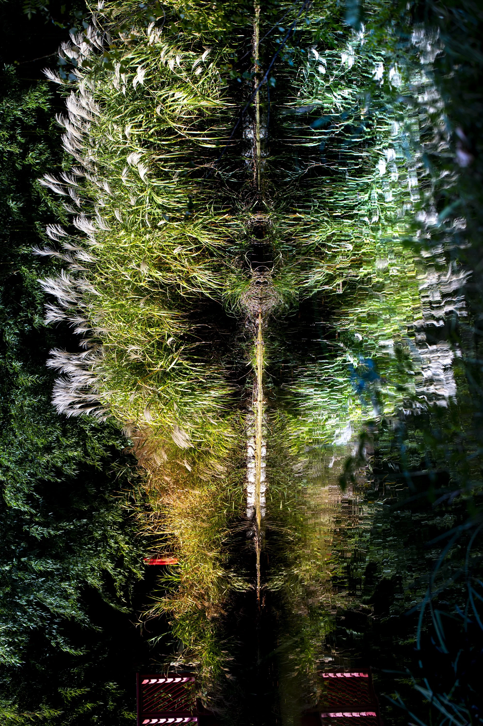 Paysages, Montagne, Mer, Eau, Terre, Lac, Fleur, Nature, Randonnée, Perpignan, Paris, Pyrénées-Orientales, Occitanie, Neige, Halpe d'Huez, ski; Juliette Jem; Photographe; Evènement; Entreprise