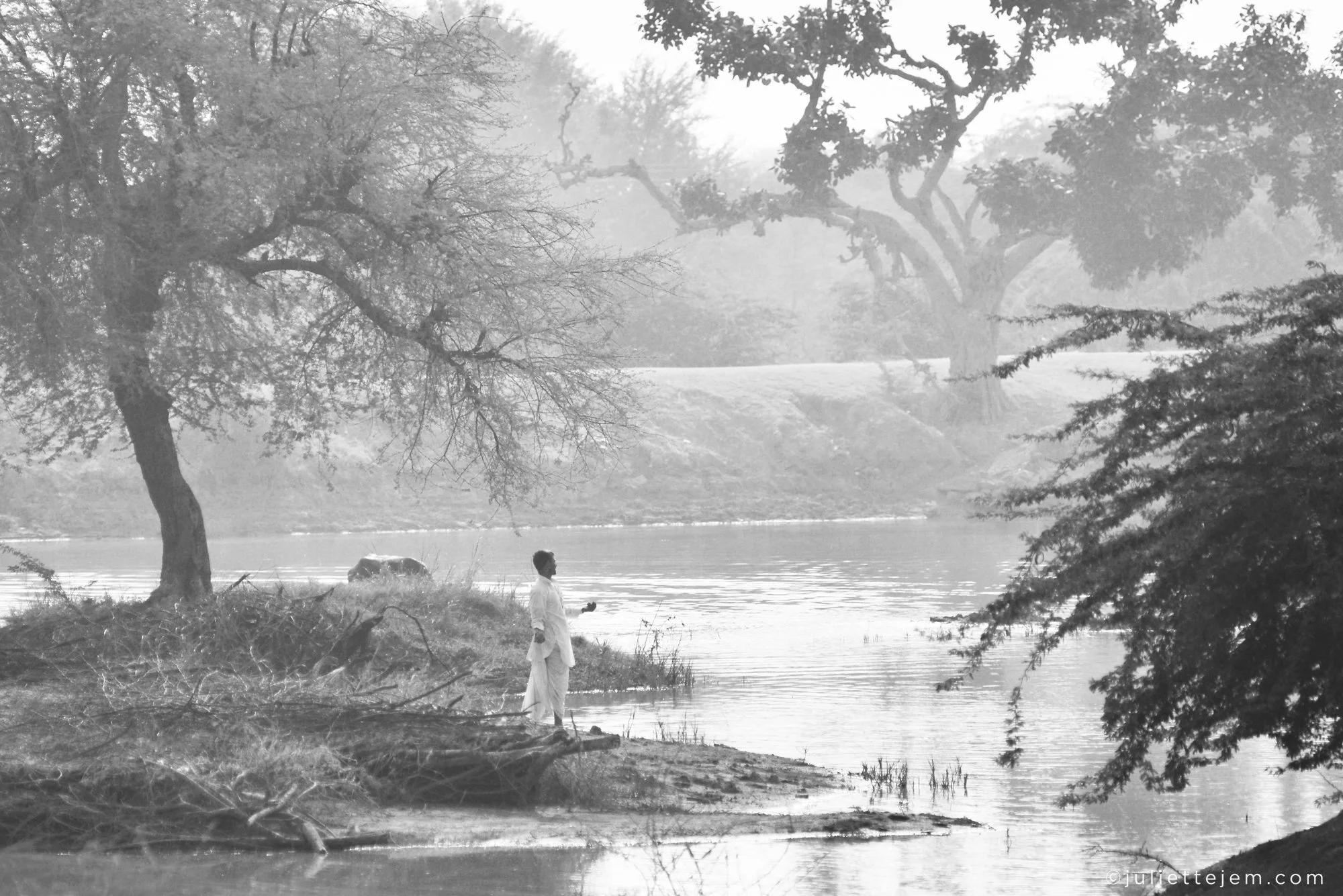 Paysages, Montagne, Mer, Eau, Terre, Lac, Fleur, Nature, Randonnée, Perpignan, Paris, Pyrénées-Orientales, Occitanie, Voyages
