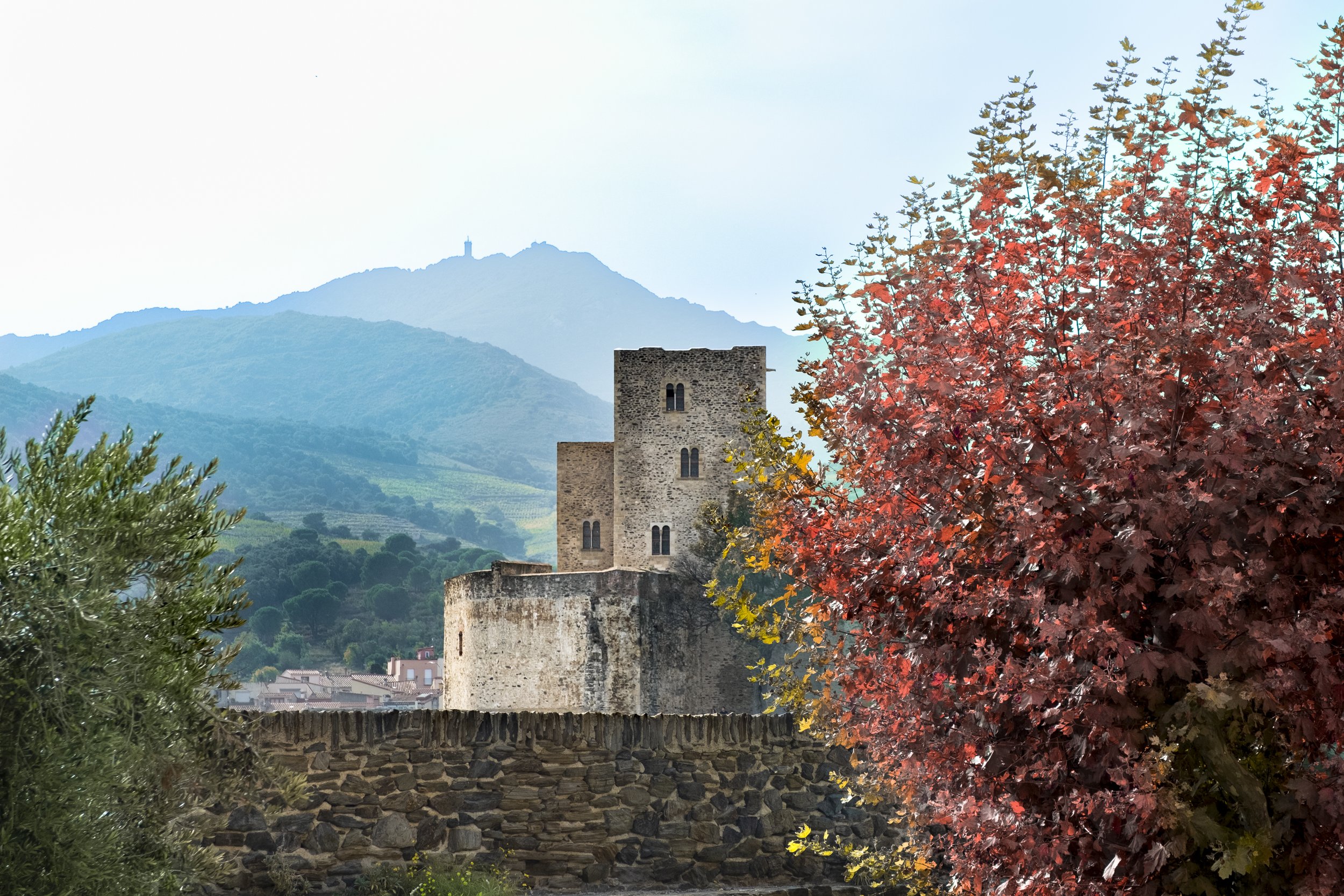 Paysages, Montagne, Mer, Eau, Terre, Lac, Fleur, Nature, Randonnée, Perpignan, Paris, Pyrénées-Orientales, Occitanie, 