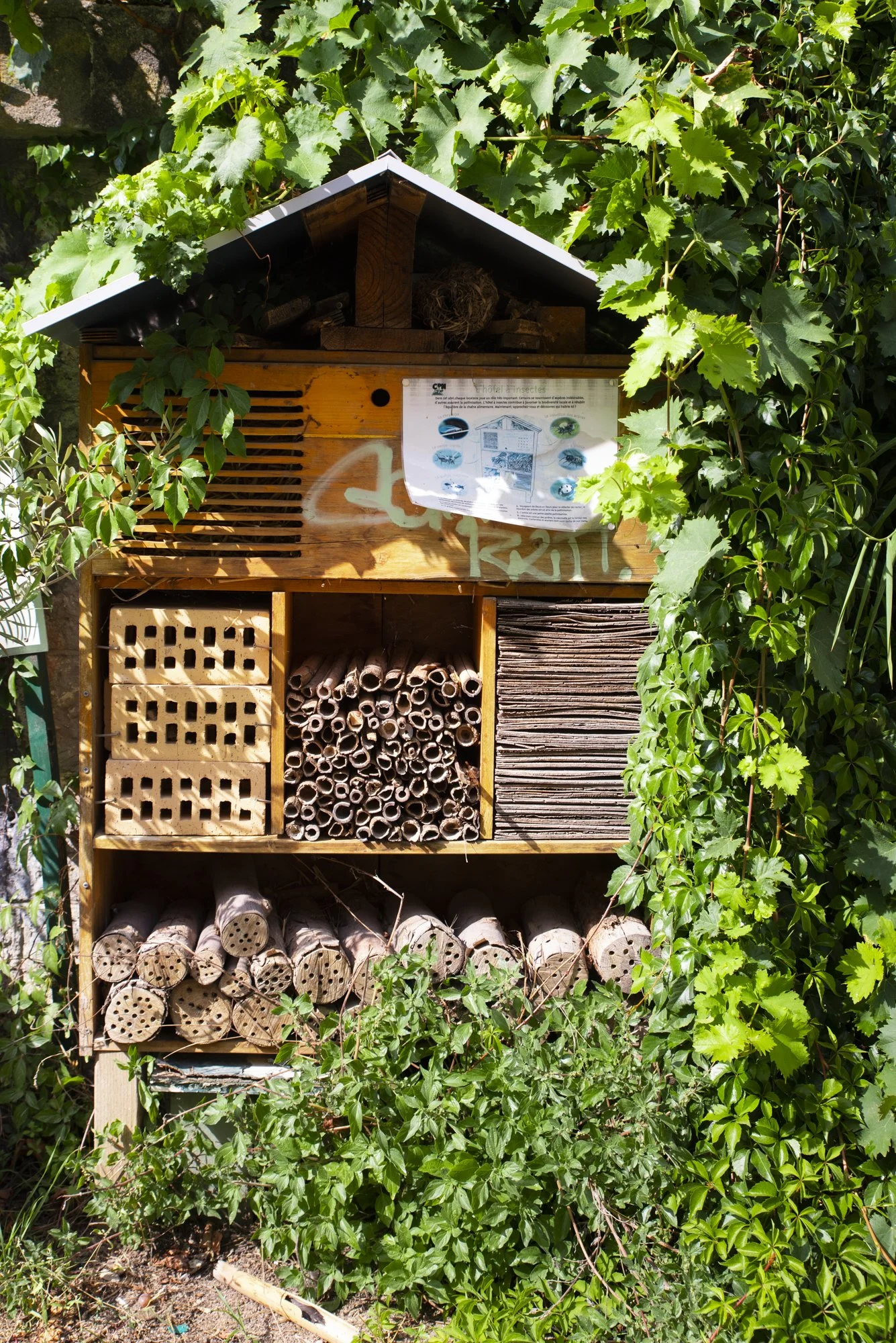 Paysages, Montagne, Mer, Eau, Terre, Lac, Fleur, Nature, Randonnée, Perpignan, Paris, Pyrénées-Orientales, Occitanie, Voyages