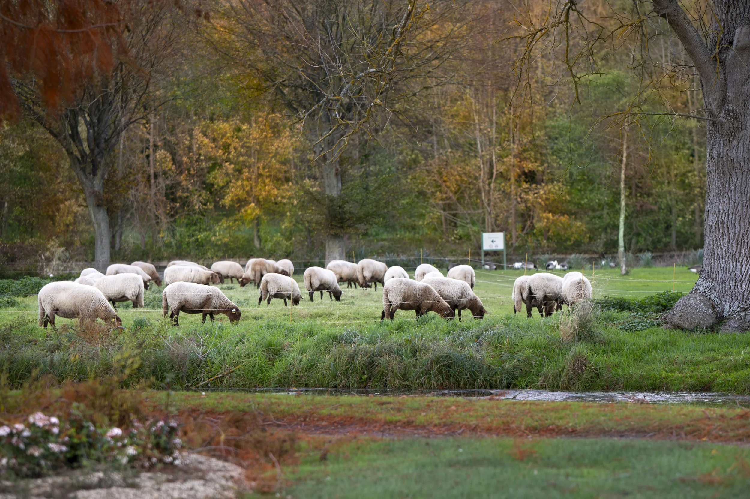 Paysages, Montagne, Mer, Eau, Terre, Lac, Fleur, Nature, Randonnée, Perpignan, Paris, Pyrénées-Orientales, Occitanie, Neige, Halpe d'Huez, ski; Juliette Jem; Photographe; Evènement; Entreprise